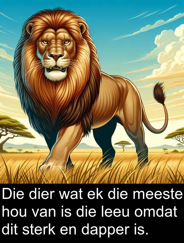 dier: Die dier wat ek die meeste hou van is die leeu omdat dit sterk en dapper is.