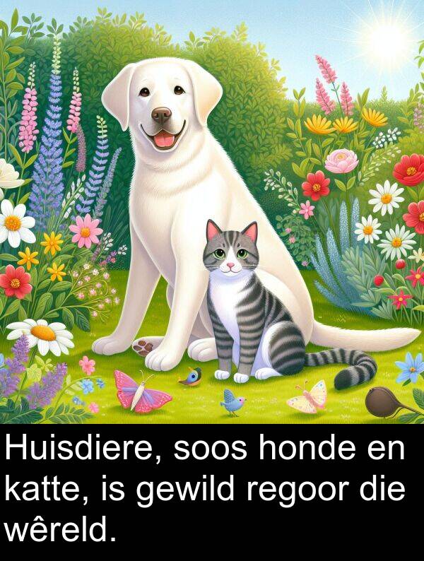 honde: Huisdiere, soos honde en katte, is gewild regoor die wêreld.