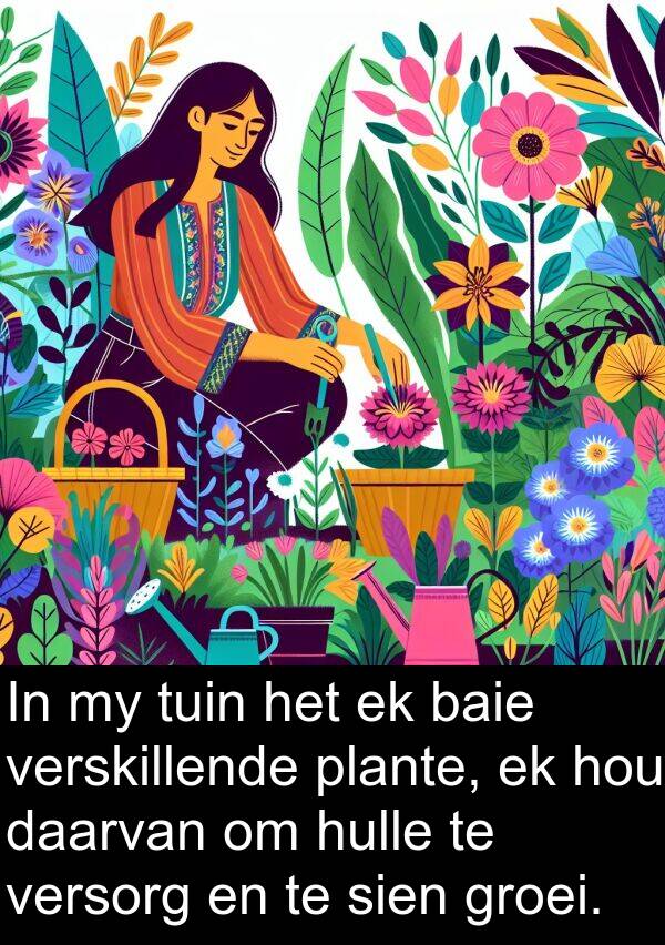 plante: In my tuin het ek baie verskillende plante, ek hou daarvan om hulle te versorg en te sien groei.