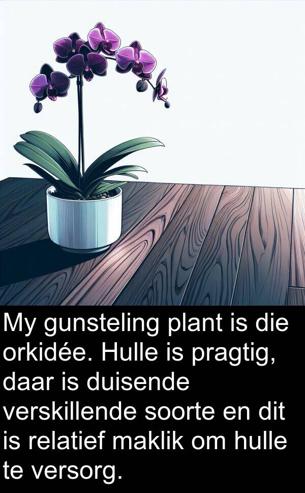 pragtig: My gunsteling plant is die orkidée. Hulle is pragtig, daar is duisende verskillende soorte en dit is relatief maklik om hulle te versorg.