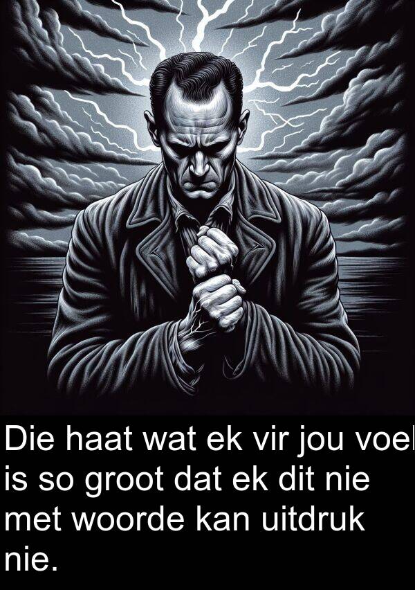 haat: Die haat wat ek vir jou voel is so groot dat ek dit nie met woorde kan uitdruk nie.