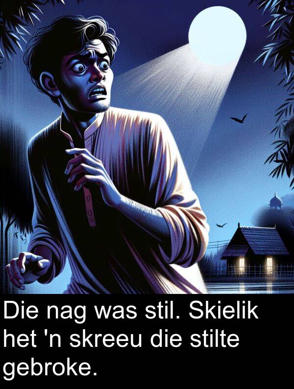 gebroke: Die nag was stil. Skielik het 'n skreeu die stilte gebroke.