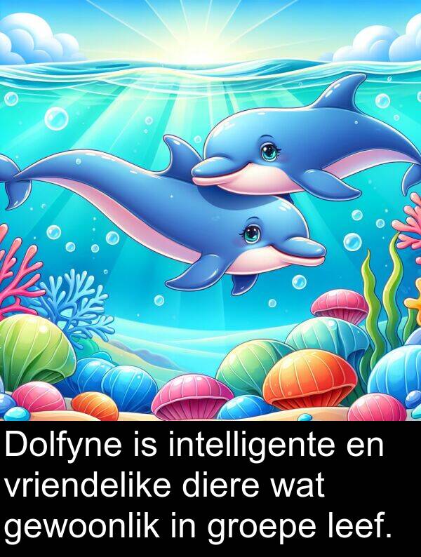 intelligente: Dolfyne is intelligente en vriendelike diere wat gewoonlik in groepe leef.