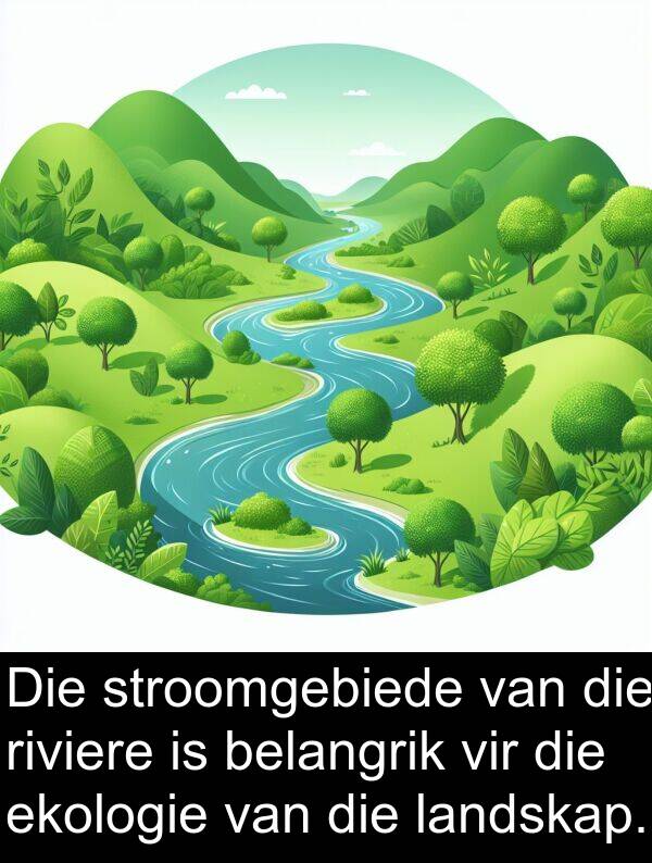 belangrik: Die stroomgebiede van die riviere is belangrik vir die ekologie van die landskap.