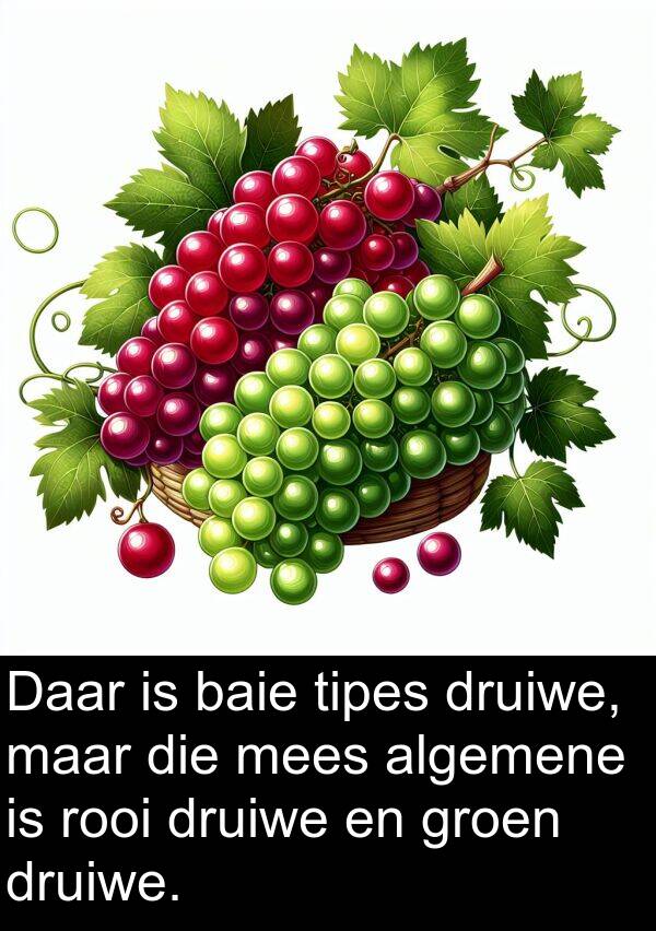 tipes: Daar is baie tipes druiwe, maar die mees algemene is rooi druiwe en groen druiwe.