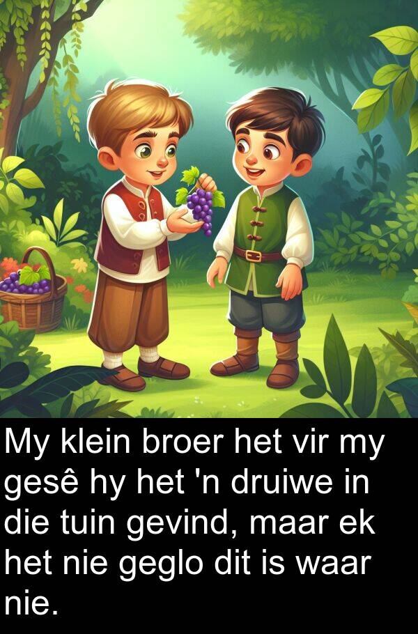 geglo: My klein broer het vir my gesê hy het 'n druiwe in die tuin gevind, maar ek het nie geglo dit is waar nie.