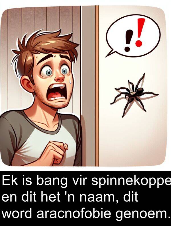 bang: Ek is bang vir spinnekoppe en dit het 'n naam, dit word aracnofobie genoem.