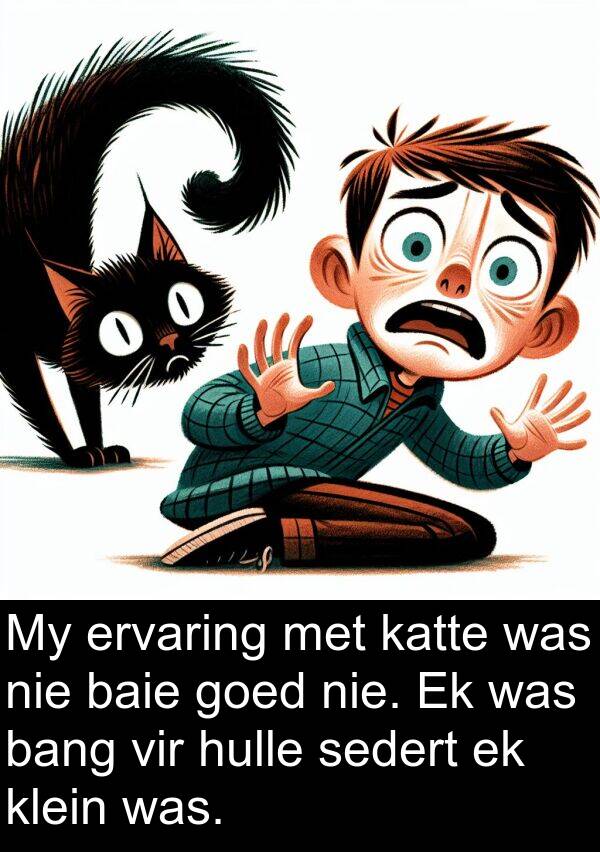 bang: My ervaring met katte was nie baie goed nie. Ek was bang vir hulle sedert ek klein was.