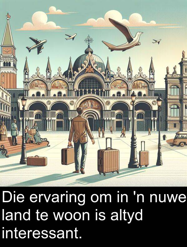 nuwe: Die ervaring om in 'n nuwe land te woon is altyd interessant.