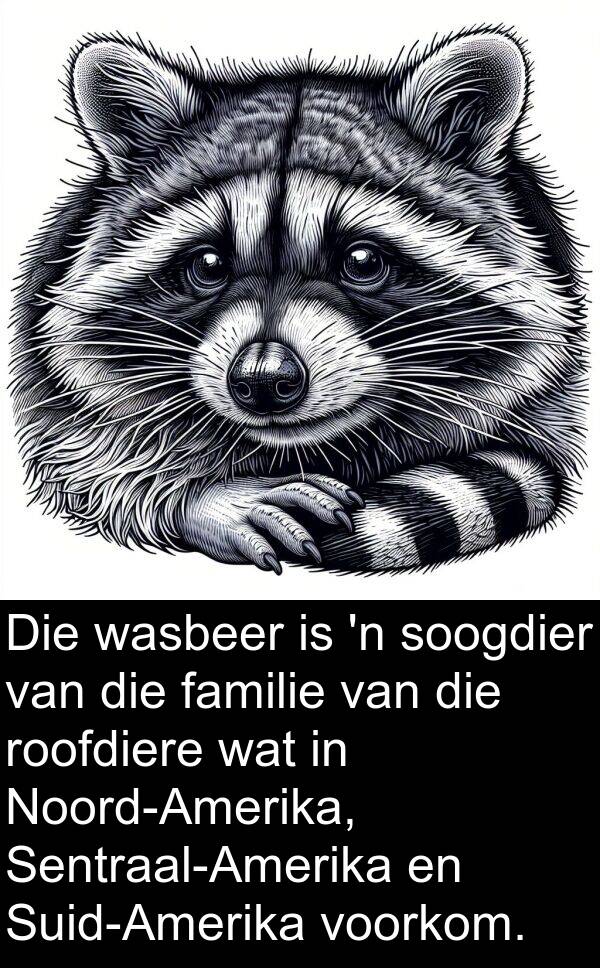 familie: Die wasbeer is 'n soogdier van die familie van die roofdiere wat in Noord-Amerika, Sentraal-Amerika en Suid-Amerika voorkom.