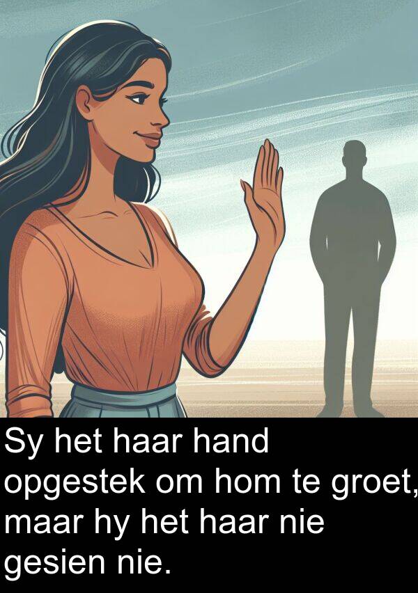 hand: Sy het haar hand opgestek om hom te groet, maar hy het haar nie gesien nie.