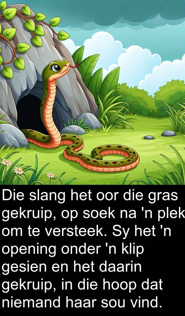 hoop: Die slang het oor die gras gekruip, op soek na 'n plek om te versteek. Sy het 'n opening onder 'n klip gesien en het daarin gekruip, in die hoop dat niemand haar sou vind.