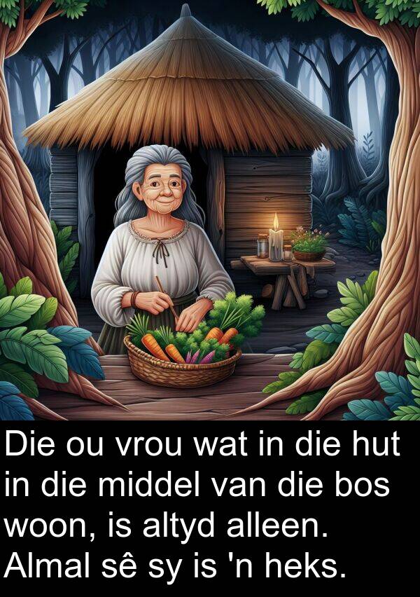 heks: Die ou vrou wat in die hut in die middel van die bos woon, is altyd alleen. Almal sê sy is 'n heks.