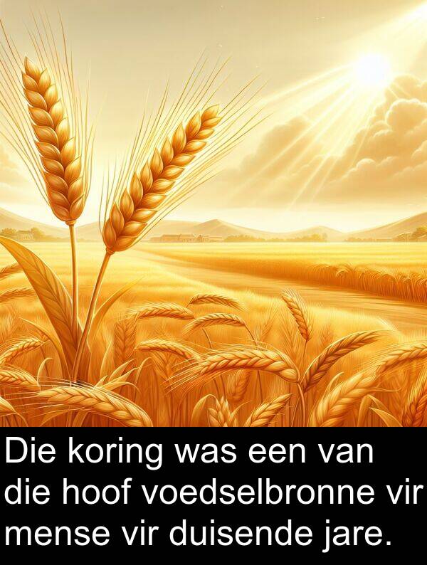 hoof: Die koring was een van die hoof voedselbronne vir mense vir duisende jare.