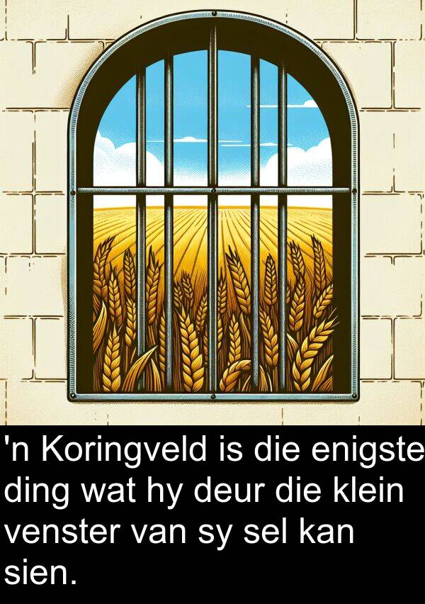 venster: 'n Koringveld is die enigste ding wat hy deur die klein venster van sy sel kan sien.