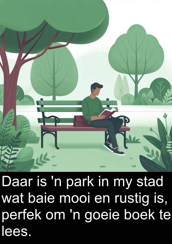 perfek: Daar is 'n park in my stad wat baie mooi en rustig is, perfek om 'n goeie boek te lees.