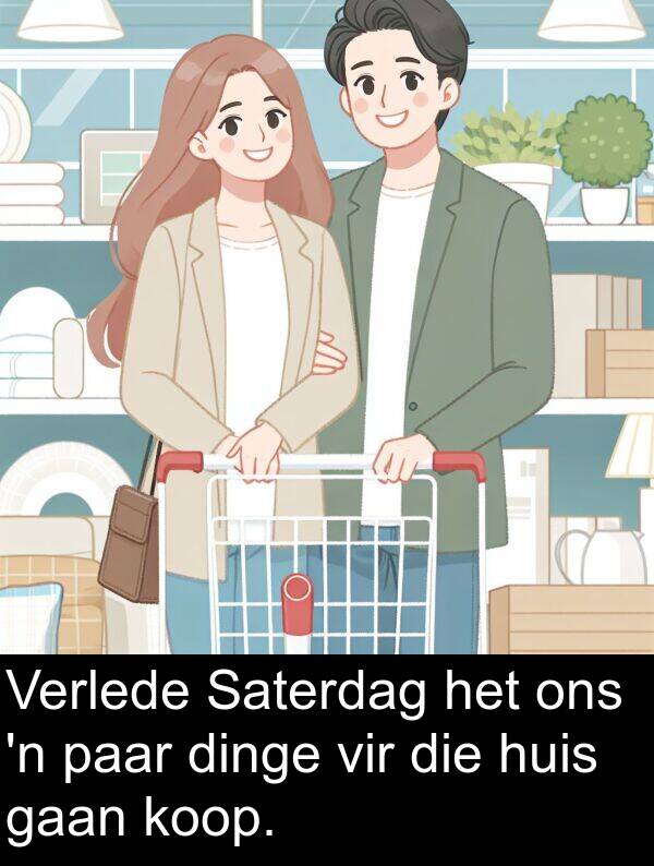 gaan: Verlede Saterdag het ons 'n paar dinge vir die huis gaan koop.