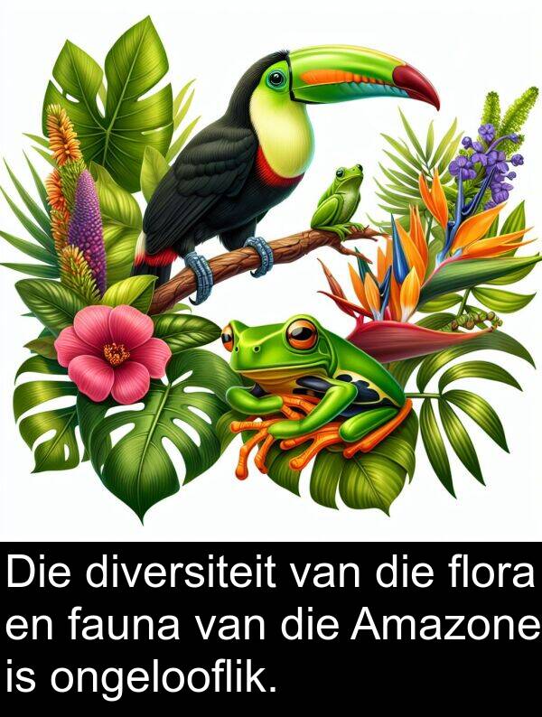 flora: Die diversiteit van die flora en fauna van die Amazone is ongelooflik.