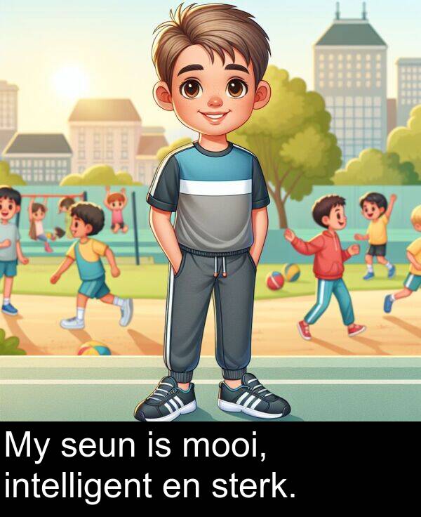 seun: My seun is mooi, intelligent en sterk.