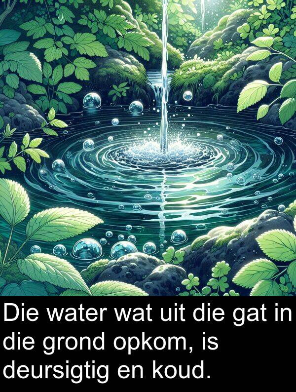 gat: Die water wat uit die gat in die grond opkom, is deursigtig en koud.