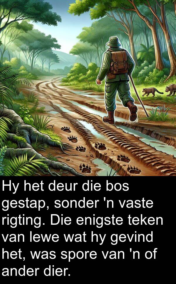 teken: Hy het deur die bos gestap, sonder 'n vaste rigting. Die enigste teken van lewe wat hy gevind het, was spore van 'n of ander dier.