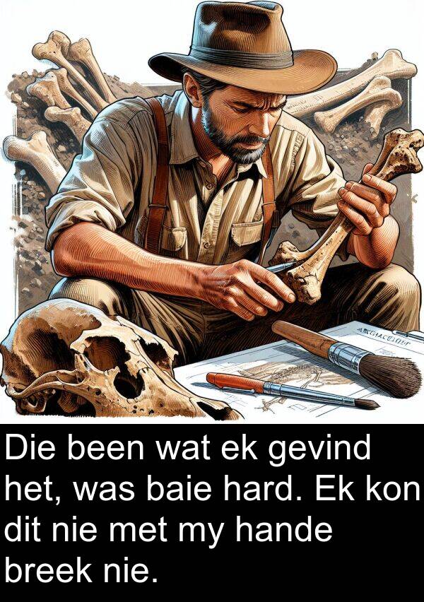 been: Die been wat ek gevind het, was baie hard. Ek kon dit nie met my hande breek nie.