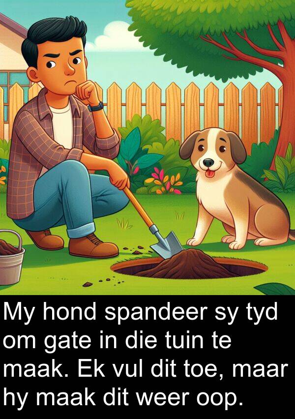 gate: My hond spandeer sy tyd om gate in die tuin te maak. Ek vul dit toe, maar hy maak dit weer oop.