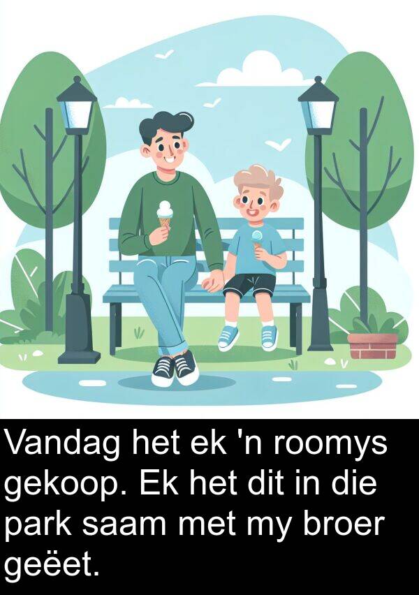 geëet: Vandag het ek 'n roomys gekoop. Ek het dit in die park saam met my broer geëet.