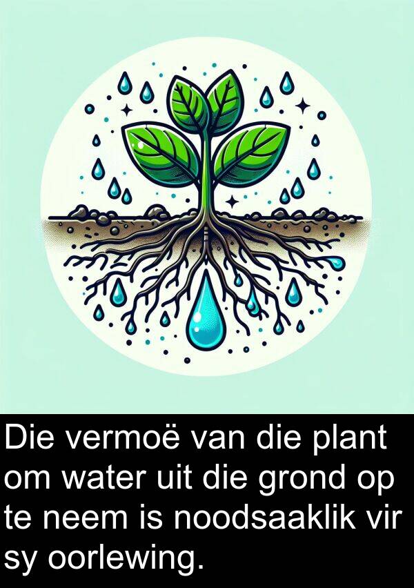 noodsaaklik: Die vermoë van die plant om water uit die grond op te neem is noodsaaklik vir sy oorlewing.