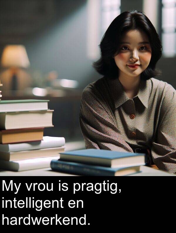 pragtig: My vrou is pragtig, intelligent en hardwerkend.