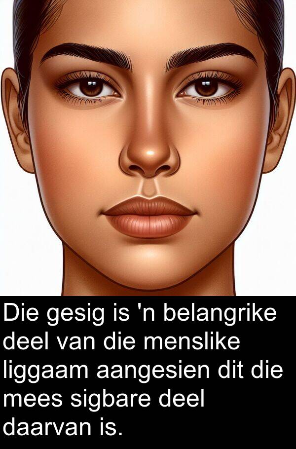 belangrike: Die gesig is 'n belangrike deel van die menslike liggaam aangesien dit die mees sigbare deel daarvan is.