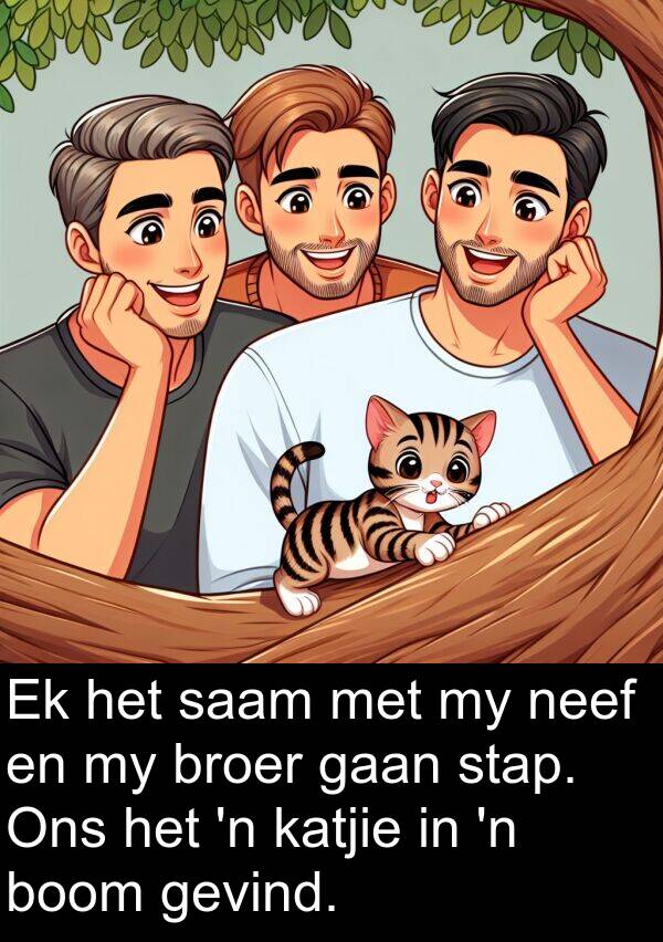 neef: Ek het saam met my neef en my broer gaan stap. Ons het 'n katjie in 'n boom gevind.