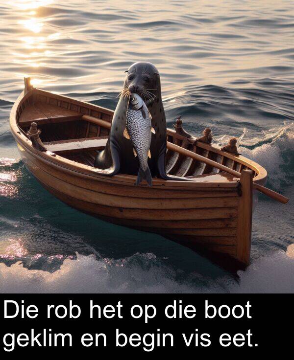 begin: Die rob het op die boot geklim en begin vis eet.