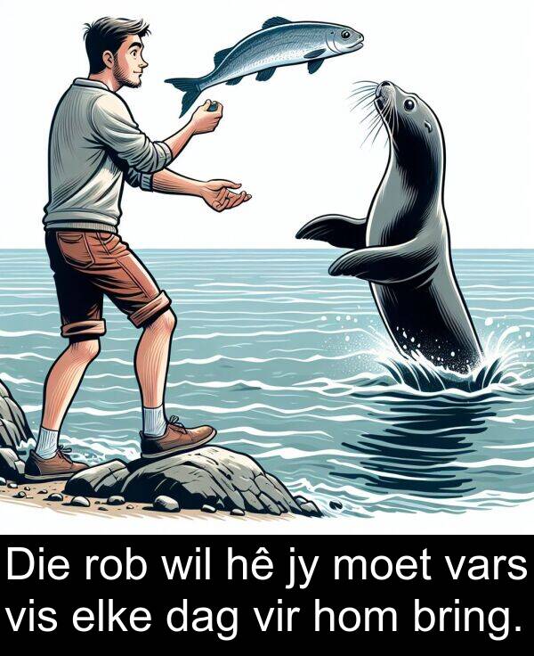 hom: Die rob wil hê jy moet vars vis elke dag vir hom bring.