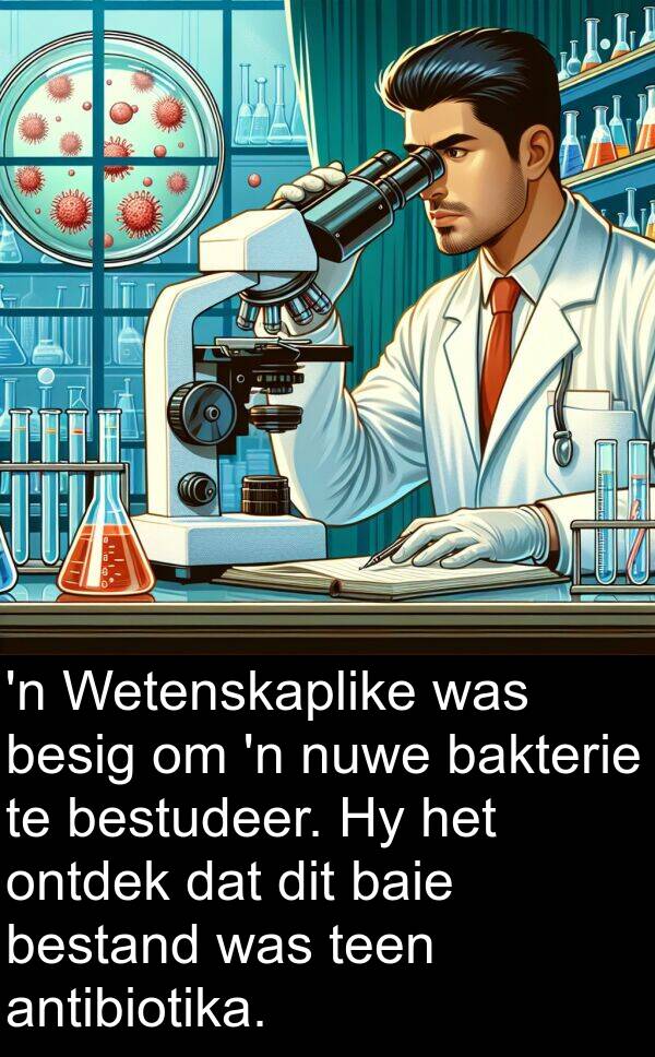 bestand: 'n Wetenskaplike was besig om 'n nuwe bakterie te bestudeer. Hy het ontdek dat dit baie bestand was teen antibiotika.