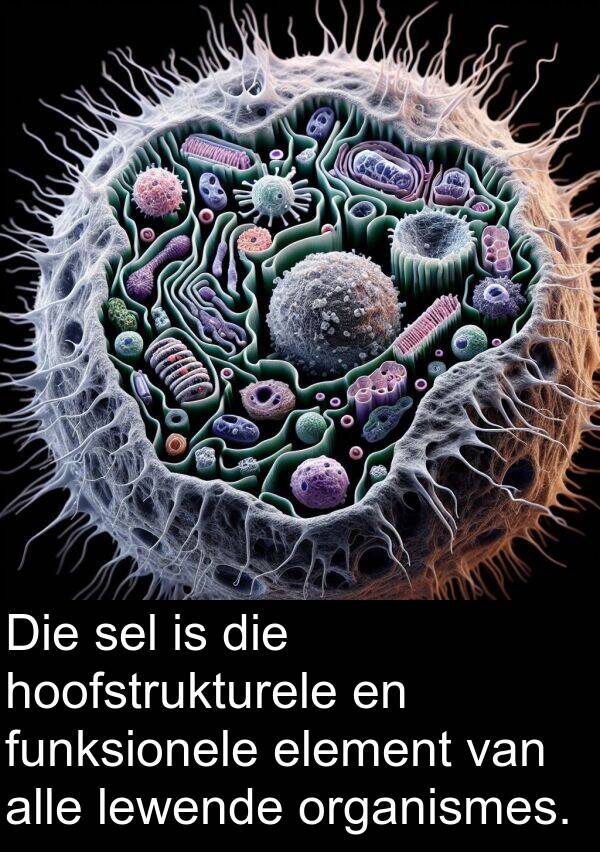 funksionele: Die sel is die hoofstrukturele en funksionele element van alle lewende organismes.