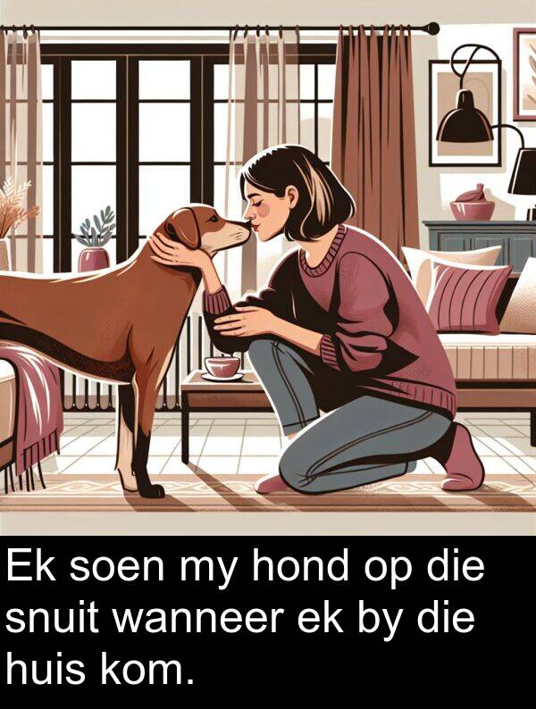 huis: Ek soen my hond op die snuit wanneer ek by die huis kom.