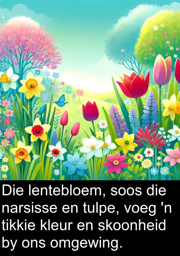 narsisse: Die lentebloem, soos die narsisse en tulpe, voeg 'n tikkie kleur en skoonheid by ons omgewing.