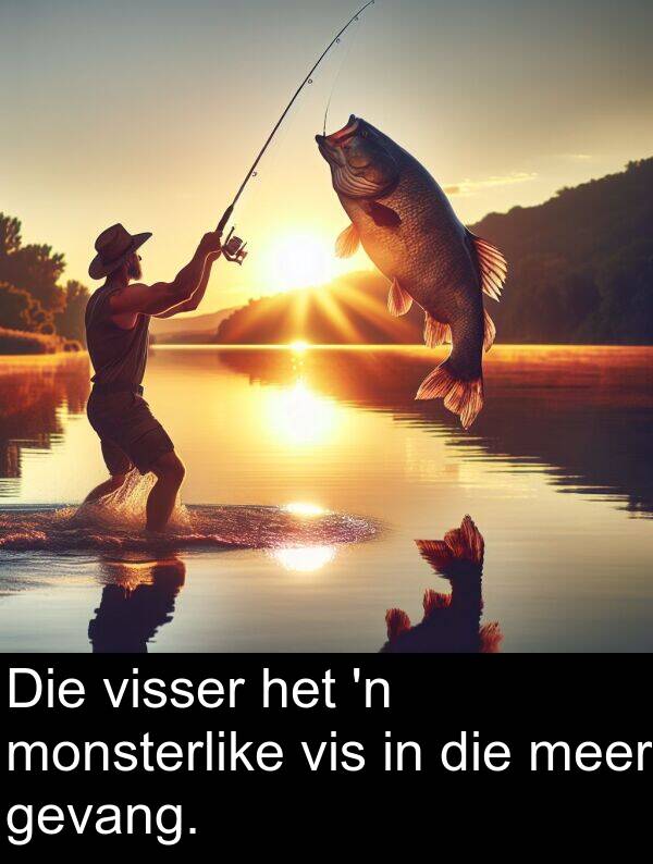 meer: Die visser het 'n monsterlike vis in die meer gevang.