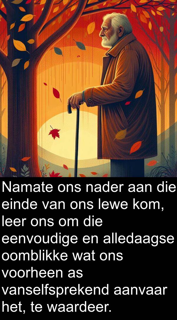 nader: Namate ons nader aan die einde van ons lewe kom, leer ons om die eenvoudige en alledaagse oomblikke wat ons voorheen as vanselfsprekend aanvaar het, te waardeer.