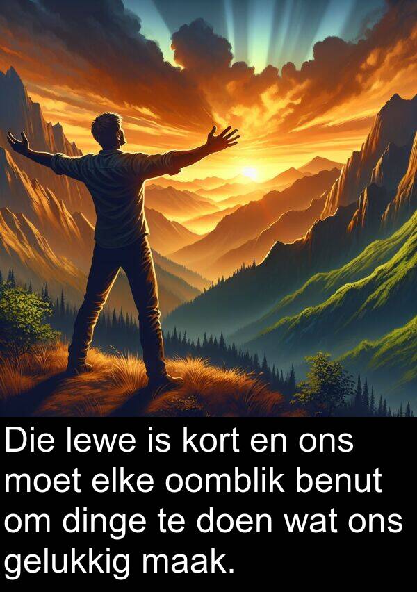 benut: Die lewe is kort en ons moet elke oomblik benut om dinge te doen wat ons gelukkig maak.