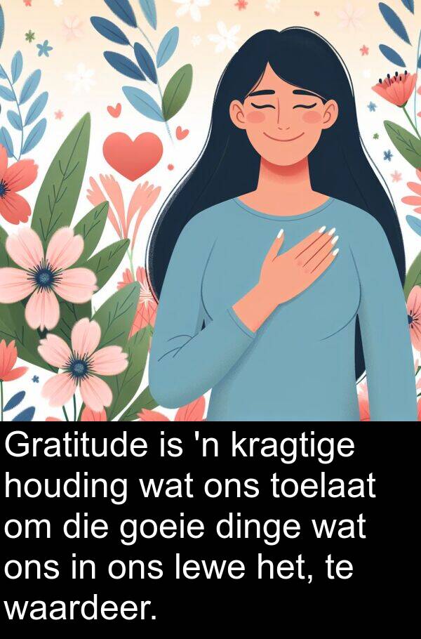 toelaat: Gratitude is 'n kragtige houding wat ons toelaat om die goeie dinge wat ons in ons lewe het, te waardeer.