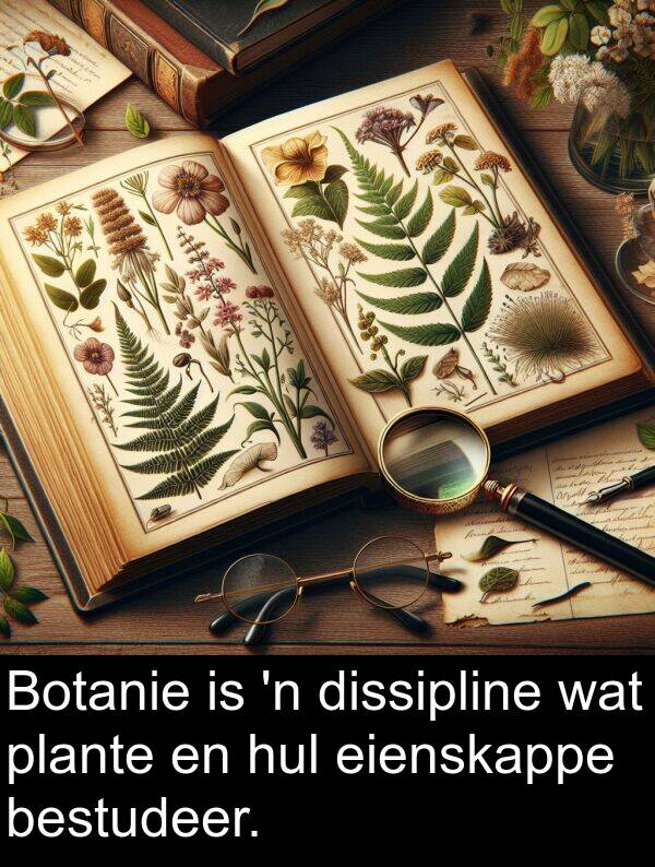 bestudeer: Botanie is 'n dissipline wat plante en hul eienskappe bestudeer.