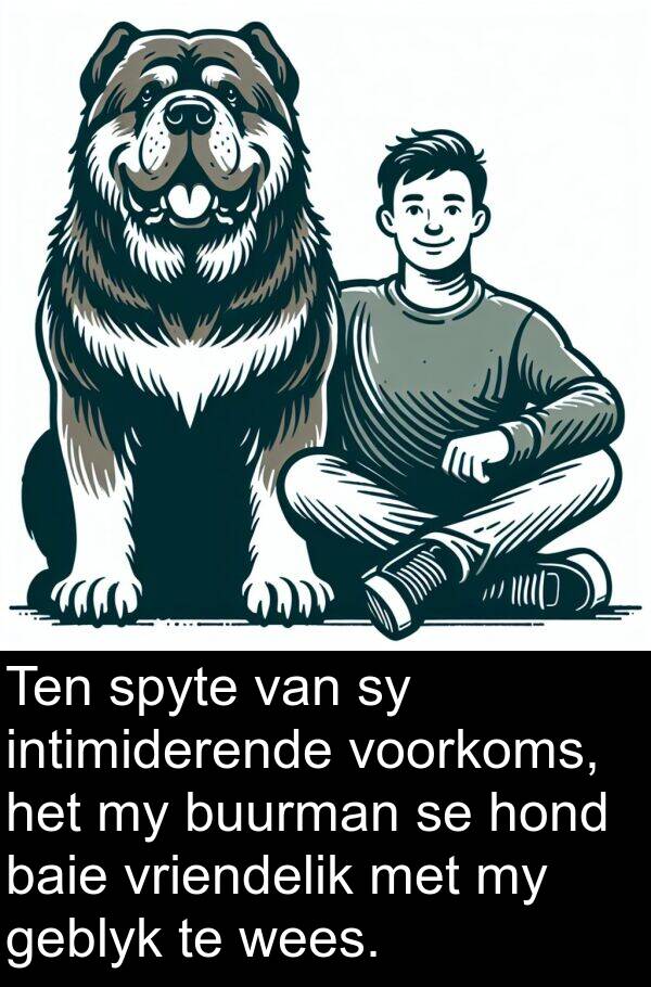 geblyk: Ten spyte van sy intimiderende voorkoms, het my buurman se hond baie vriendelik met my geblyk te wees.