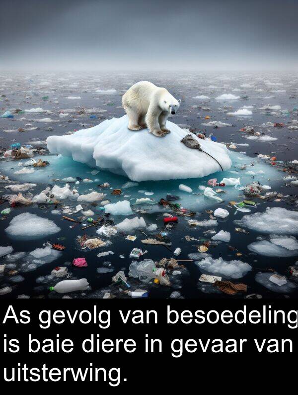 besoedeling: As gevolg van besoedeling is baie diere in gevaar van uitsterwing.