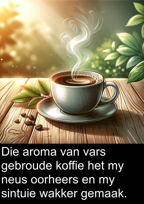 neus: Die aroma van vars gebroude koffie het my neus oorheers en my sintuie wakker gemaak.