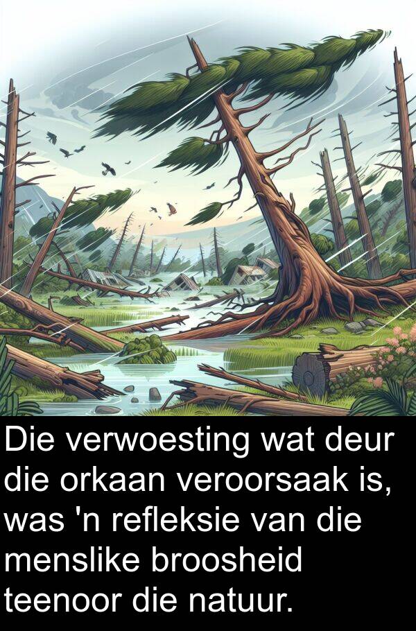 veroorsaak: Die verwoesting wat deur die orkaan veroorsaak is, was 'n refleksie van die menslike broosheid teenoor die natuur.