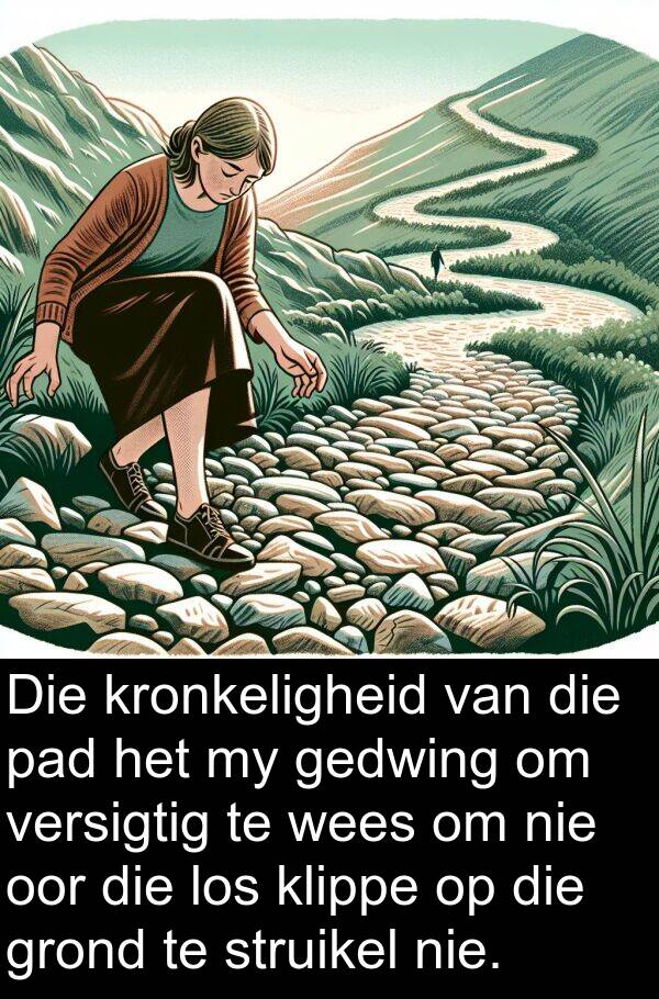 gedwing: Die kronkeligheid van die pad het my gedwing om versigtig te wees om nie oor die los klippe op die grond te struikel nie.