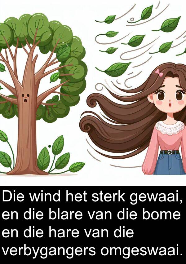 hare: Die wind het sterk gewaai, en die blare van die bome en die hare van die verbygangers omgeswaai.