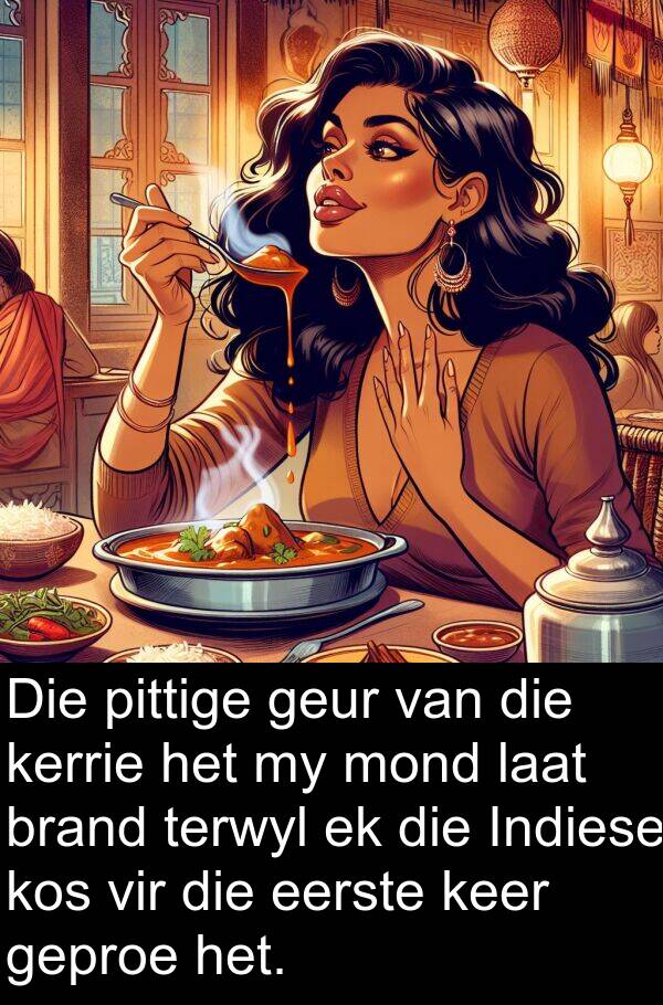 pittige: Die pittige geur van die kerrie het my mond laat brand terwyl ek die Indiese kos vir die eerste keer geproe het.